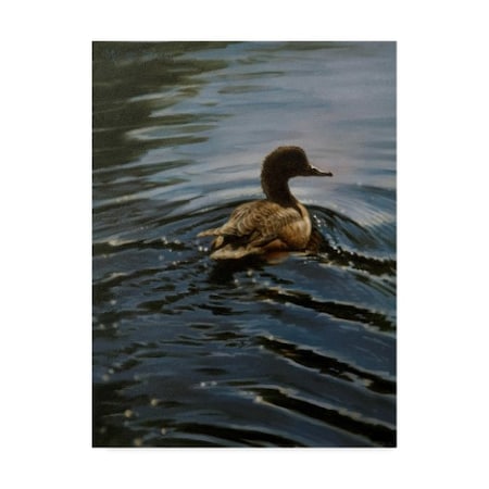 Michael Jackson 'Pochard 1' Canvas Art,35x47